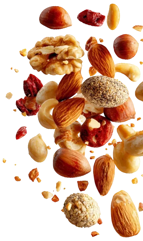 Dry Fruits