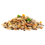 Seeds
