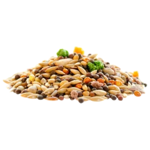 Seeds